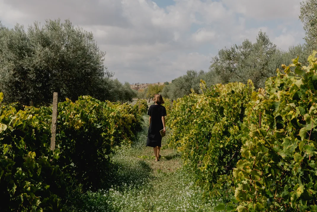 Woman walking alone down a grassy path between rows of grapevines